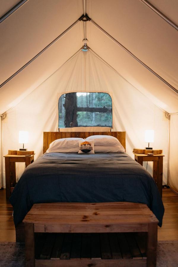 Treehouse Cozy Glamping Site Hotel Branson Exterior foto
