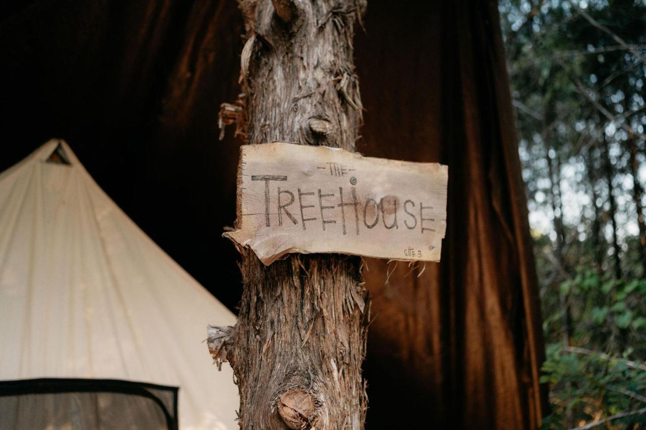 Treehouse Cozy Glamping Site Hotel Branson Exterior foto